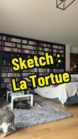 Bon j’ai voulu tenter un nouveau truc mais pas sûr du concept finalement 😂 #anime #manga #otaku #geek #booktokfr #booktokfrance #vercin 