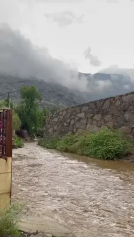 #اجواء #نعص #شهر اغسطس 