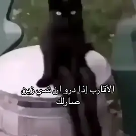 تحصنو #fyp #foryou #fypシ #foryoupage #fypシ゚viral #greenscreen #like #viraltiktok #اكسبلور #capcut #tiktok #xyzbca #roblox #اكسبلور 