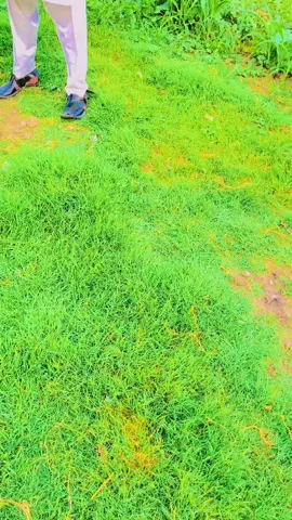 #สปีดสโลว์ #สโลว์สมูท 