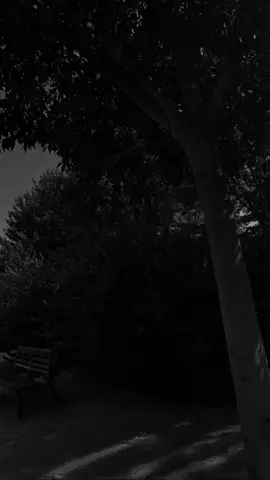 سكوت الزّوج عن ظُلم والدته لزوجته...هل هو من البرّ...!؟ #الظلم #الظلم_ظلمات_يوم_القيامه #أستغفر_الله_العظيم_واتوب_إليه #اللهم_صل_وسلم_على_نبينا_محمد 