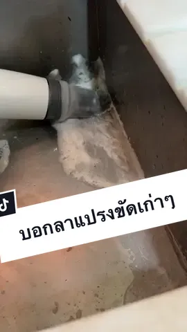 ไม่ได้อุปกรณ์ใหม่ไม่มีแรงทำความสะอาด ตัวนี้ช่วยได้เยอะไม่ต้องออกแรงเลย แล้วคือบ้านเหมือนใหม่ไปอีก ##แปลงขัดห้องน้ํา