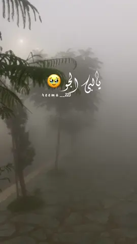 ماأروعك باحتنا 😍🥰#جمالو #باحة_الضباب_والجمال #تصويري📸 #الباحة #غابة_رغدان #اكسبلورexplore #شيلات #explorepage #🌹🌹 