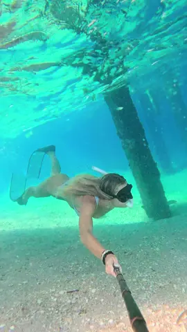 There was so much life today 😆 #paddleboard #paddleboarding #Vlog #fyp #freediving #snorkeling #floridalife #freedivegirl #freestyle #afternoon #dayinmylife 