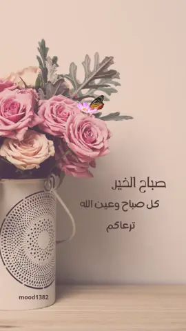 #صباح_الخير #صباحكم_أحلى_صباح 