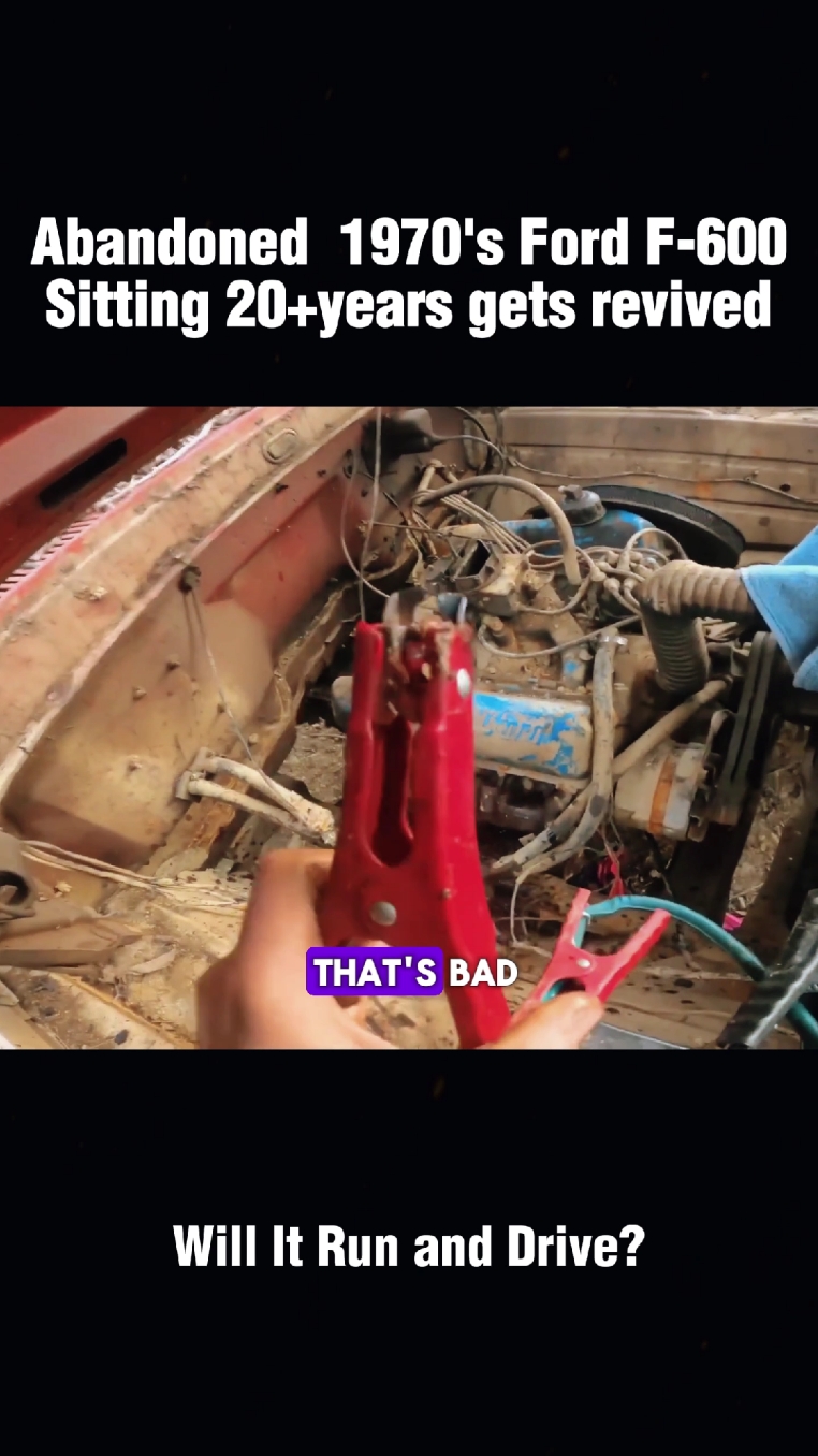 ABANDONED 1970 FORD F600 SITTING 20YR!WILL IT RUN?#recovery #restoration #motor #willitrun #car #old #engine #tiktok #fyp #foryourpage 