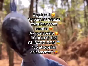 Nombre de mi peli: El Reno Loco, En pocos días se va estrenar su secuela, no se la pierdan!! 🦌🦈 Mi Canal de YouTube: Gerardo y Sus Amigos #película #talento #asperger #comedia #parati #fpy #fpyシ #fpyツ #ponmeenparatitiktok #ponmeenparati #xd #humor #gerardoysuspelículas 