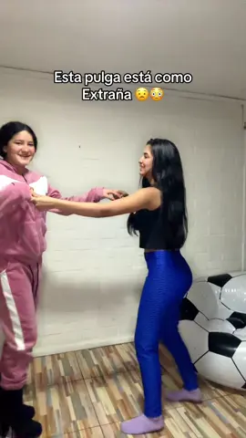 Una pulga muyy Rarita 😅 creo que comio mucho dulce😅😅#viral #viralvideo #paratiiiiiiiiiiiiiiiiiiiiiiiiiiiiiii #greenscreen #fyppppppppppppppppppppppp @Rismary🧸🪄 