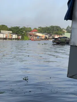 Sông sa đéc sáng nay dậy sống…