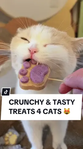 Get this Paw Cat Treats today to feed your cat crunchy & delicious treats! 😻✨