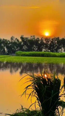 میں تے تیری یاد نے کلیا رہ جانا💔            #punjabi #sunset #vews #pindawale #@vibesofpunjab#village #pendu #jutt #پنجاب دے رنگ🌱#viral #tiktok #reels #fyp #trending #sound #fyp #foryou #unfreezemyacount #1millionaudition 