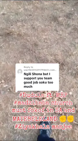 Replying to @user96531529179865 #FREE MATEBELELAND PEOPLE FROM SHONA NOW AND FOREVER ✊ #Phambili siyakhona asijiki✊✊✊