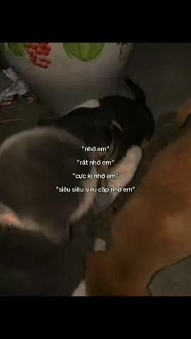 nói chung là rất nhớ em..#long20thg4 #fyp #viral 