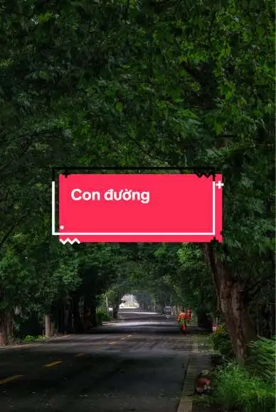 Dưới bóng cây tôi tìm thấy bạn!#xuhuong #fyp #tiktok #uocduoclenxuhuong #thiennhien #thiennhien208 #abcxyz #tree #photography #binhyen #hanhphuc #dep #đẹp #chualanh 