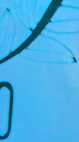 #CapCut dherai garo vo man lai bujauna🥰❤️🙏#fyp #foryou #foryoupage❤️❤️ #plzviral🥺🥺🙏🙏foryoupage #sapot_me #chitwan_muser @Durga D Grg @Binita @Anita Gurung @Mina❣️❣️M👫 @Tamangni Rashmi 