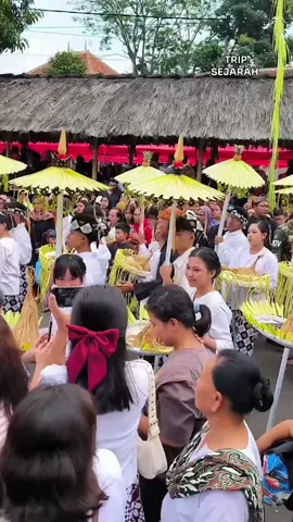 Seren Taun, hari raya panen masyarakat Sunda kuno yang sempat punah dan terlupakan pasca runtuhnya Kerajaan Pajajaran, kini dibangkitkan kembali oleh sejumlah komunitas adat di Tatar Pasundan. Di antaranya adalah penghayat Sunda Wiwitan di Kecamatan Cigugur, Kabupaten Kuningan yang terletak di kaki Gunung Ciremai. Warga Adat Karuhun Urang (Kaur) Sunda Wiwitan di Cigugur menggelar upacara Seren Taun setiap tanggal 22 Rayagung dalam kalender Sunda. Dalam perayaan panen tahunan ini, padi menjadi objek utama penghormatan yang diarak sebagai anugerah dari sang dewi padi, Nyi Pohaci Sanghyang Asri. 📍 Kecamatan Cigugur, Kuningan, Jawa Barat #sejarah #nusantara #sunda #serentaun 
