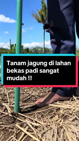 Untuk pembelian klik keranjang kuning atau hubungi nomor kami di profil hati hati produk tiruan #alattanam #simpleplanter #petaniindonesia🇮🇩🇮🇩🇮🇩🌿🌿 