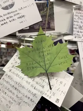 有爱的地方，就会有光。#douyin #viral #xuhuong #trungquoc #china #Love 