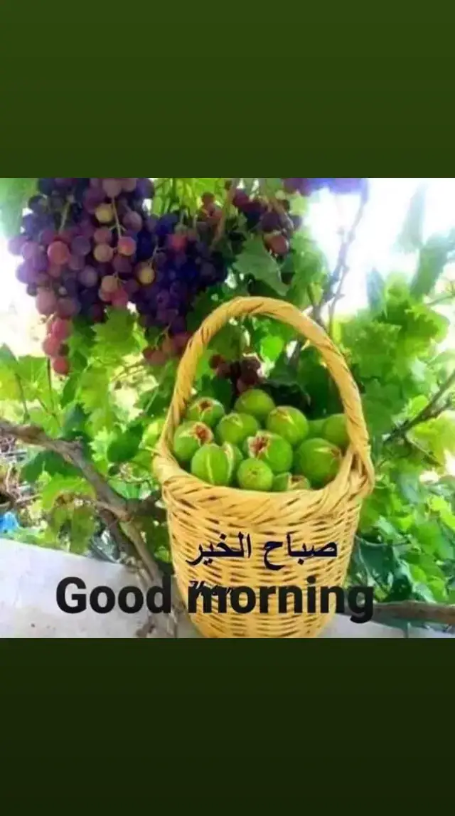 صباحووووو💚🌿💚🌿💚💚🤍💚🤍💚🤍💚🤍🌿🌿🌱🌱💚💚