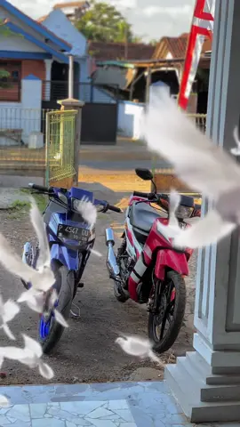 Red blue 😍 #jember #vegarold #yamahaindonesia #fizrindonesia #CapCut 