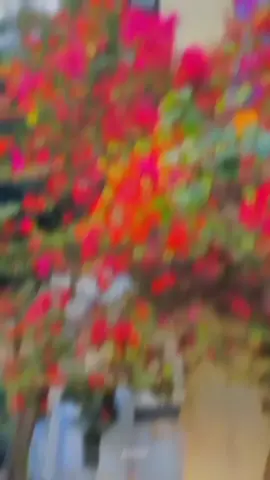 - Background video ✨🌸 #your_partho1 #tiktokbangladesh #tiktok @TikTok Bangladesh @TikTok 