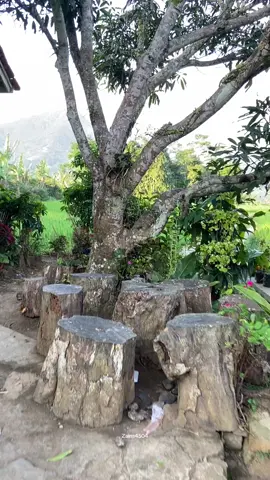 Najan langit heunteu bengras,najan mega heinteu bodas ( Karya Uko H  #Paanggang  #lagusunda #lagusundapalingsedih #pemandangan #pesawahan #Laguaundanostlagia #gasentrapajampangan 