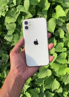 iPhone 11 128Gb Resmi Beacukai Spesifikasi : • All Fungsi Normal • Kelengkapan Fullset Lengkap • Fisik Mulus Terawat  • iCloud Clean • Kesehatan Baterai 88% • Face ID & Truetone Normal • Free Pindah Data • Free Pembuatan iCloud • Free Softcase Jika Stock Ada • Garansi Personal 7 Hari No Human Eror Order atau Konsultasi iPhone Bisa Langsung DM atau WhatsApp Melayani COD Area Ngawi Madiun Magetan Dan Sekitarnya Jauh? Bisa Kirim Seluruh Indonesia Terimakasih. Instagram : @fyboxstore Tiktok : @fyboxstore Tokopedia : fyboxstore WhatsApp : 0859-3385-4022 #iphonengawi #iphonemadiun #iphonemagetan #iphonemurah  #jualbeliiphonemurah #iphonebergaransi #iphoneindonesia