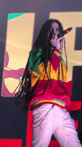 Skip Marley #reggaeland2024❤️💛💚 #skipmarley #onelove #reggaeland #reggaelandfestival #festival 