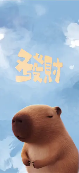 hình nền động mi hyper os capybara v2 4k #hyperos #livewallpaper4k  #xiaomi 