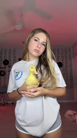 dont even know how i ended up with 3 ducks but💁‍♀️