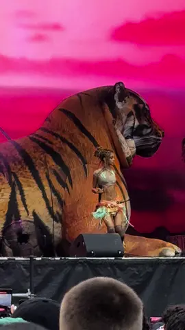 Tyla’s performance at Osheaga was amazing 🤩 @Tyla @OSHEAGA #tylawaterchallenge #tyla #osheaga  #fyp 