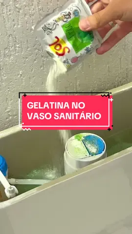Testei jogar GELATINA no VASO SANITÁRIO e me SURPREENDI !! #gelatina #vaso #banheiro #limpeza #dicas 
