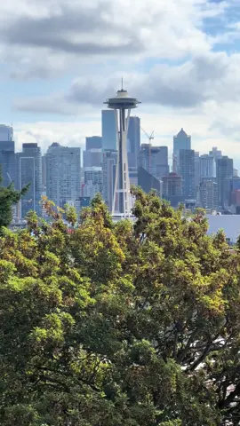 View of down town Seattle 😍 #spaceneedle #seattle #downtown #oceanview #citylife #outdoorlife #fypage #traveltiktok #traveltheworld 
