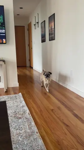 do you think I have to put the “beware of dog” sign on the door outside of my unit or the door to the whole building? unsure just how alert everyone needs to be and when!