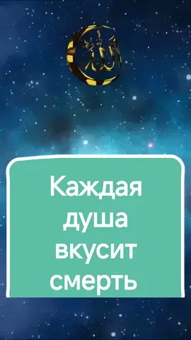 Каждая душа вкусит смерть. #allah #allahuakbar #allah❤️ #allahummashollialasayyidinamuhammad #allahu #allahuekber #allahuallah #islam #islamic_video #islamic #islamic_media #islamicvideo #islamicreminder #muslim #muslimtiktok #muslimah #muslims #quran #quran_alkarim #quranvideo #quranvideo #аллах #аллахвелик #аллахуакбар #ислам #исламскиевидео #ислам_религия_мира_добра #мухаммад #коран #muhammad #мусульмане #мусульманка #мусульманин 
