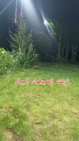 #زرعت الصبر فوك الجبال# موال حزين#foryoupage #fypシ゚viraltiktok #CapCut #fypシ゚viral #العراق_سوريا_تركيا_لبنان_السعودية_الكويت #اوربا #الامارات #اكسبلور؟ #