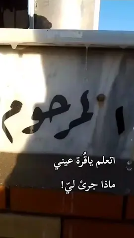 لقد أذوني ياأبي لم يعد الي رغبة في العيش دونك 😔