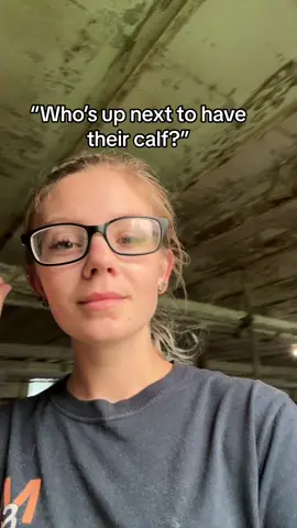 Lets get this train moovin 44 👏🏼 #cows #homesteadlife #farmtok #homesteading #homesteadtiktok #fyp #foryou #foryoupage #farmlife #agriculture #Vlog 