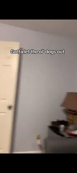 #meme #fyp #funnyvideo #fypシ゚viral #funny #memes #fypp #fypage #foryoupage #funnyvideos😂 #memestiktok #foryou 