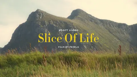 call of silence #callofsilence #aot #sliceoflife #shortvideos #cinematic #aesthetic #template #CapCut 