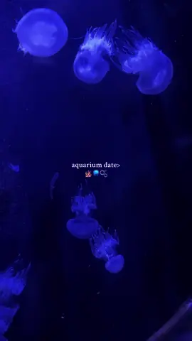 Everyone needs an aquarium date 🫧🪼