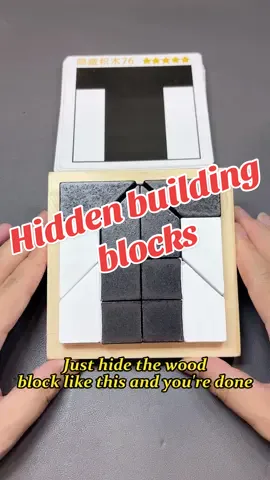 Hidden building blocks teach you to look at and solve problems from different angles#puzzle #toys #braingames 