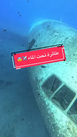 طائرة في وسط البحر الأحمر ✈️😨💦  #jordan #sea #plane #underwater #sealife 