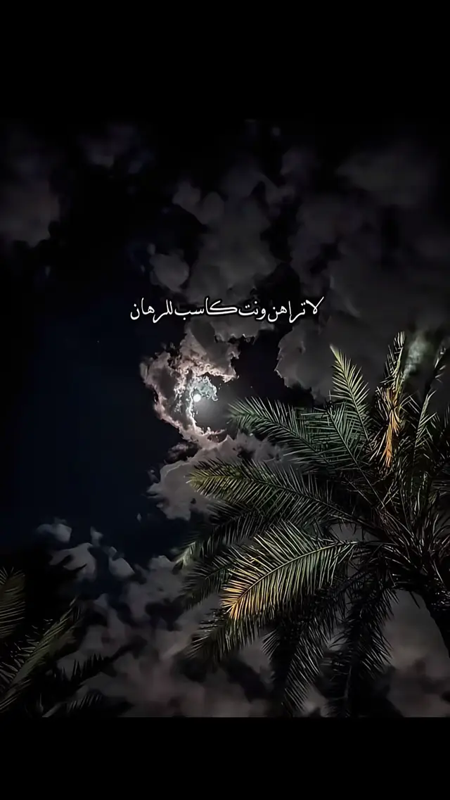 #لا_تراهن_وانت_كاسب_للرهان_للرهان #zrsyriaう 