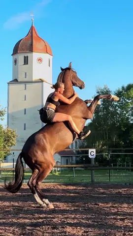 Euer dreamteam ist zurück 🥹💞 endlich wieder Ani+Marlene Content ! Ich habs so vermisst <3 @Ani👩🏼‍🌾 
