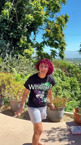 Everybody wants a partner who prioritizes mental health. 🧠 