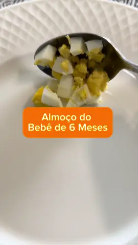 Almoço do bebê de 6 meses !!  🔴 Precisa de ajuda com a introdução alimentar do seu bebê? Te convido conhecer o Guia passo a passo de como preparar e ofertar a comida do bebê que já ajudou centenas de mães! 🔴Toque no link do meu perfil para você conhecer! #introducaoalimentar #Introduçãoalimentar #bebe #maedeprimeiraviagem 
