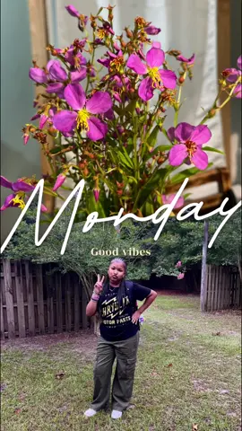 A little of my day 🪻