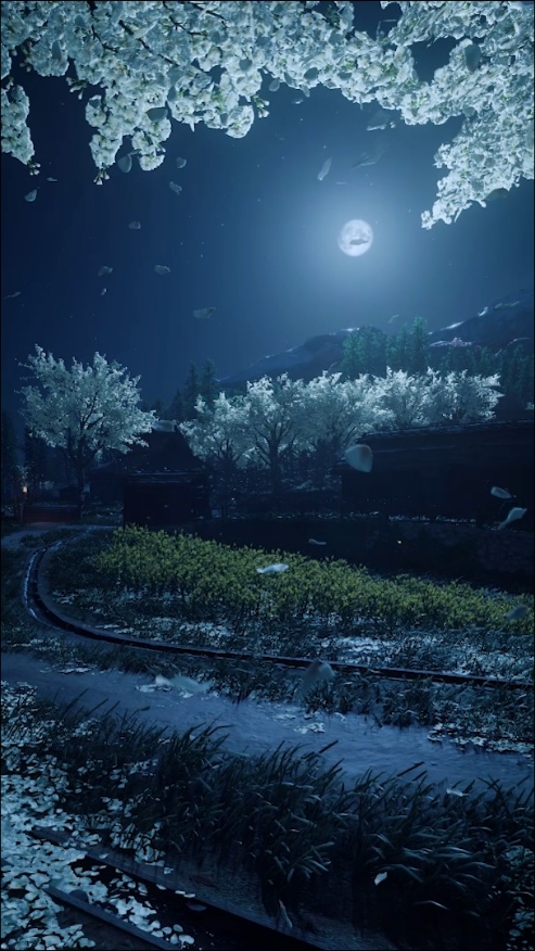 #scenery #night #relax #fyp  #foryoupage 