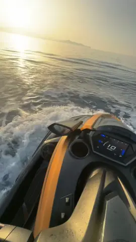 Dolphins 😍🐬 #fyp #jetski #viral #jetlife #viralvideo 